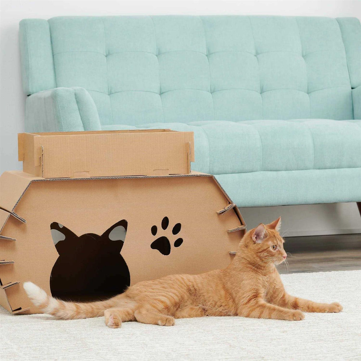 Cat Camper and Scratcher J141