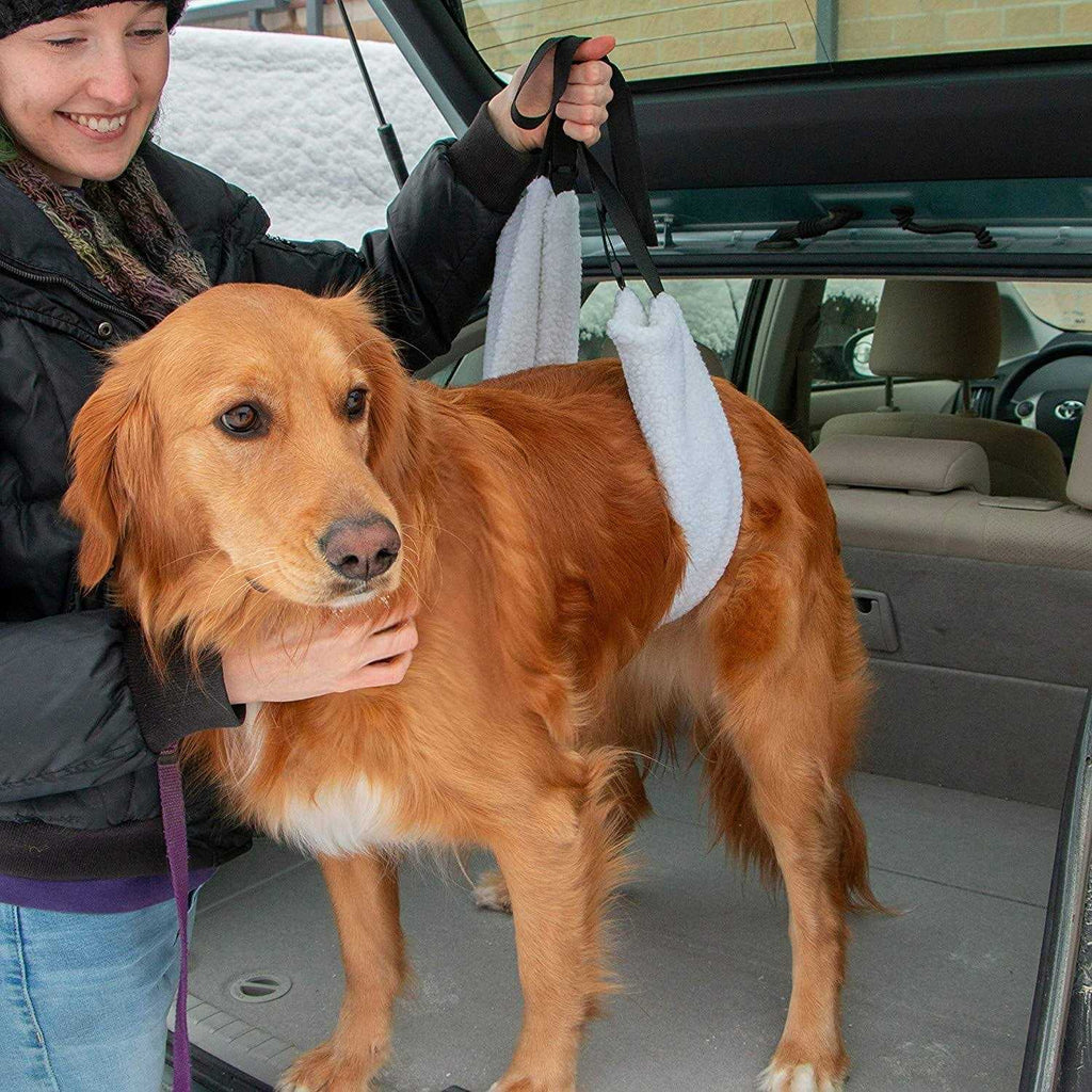 Veterinarian Approved Plush Soft Canine Sling Adjustable Straps W53197