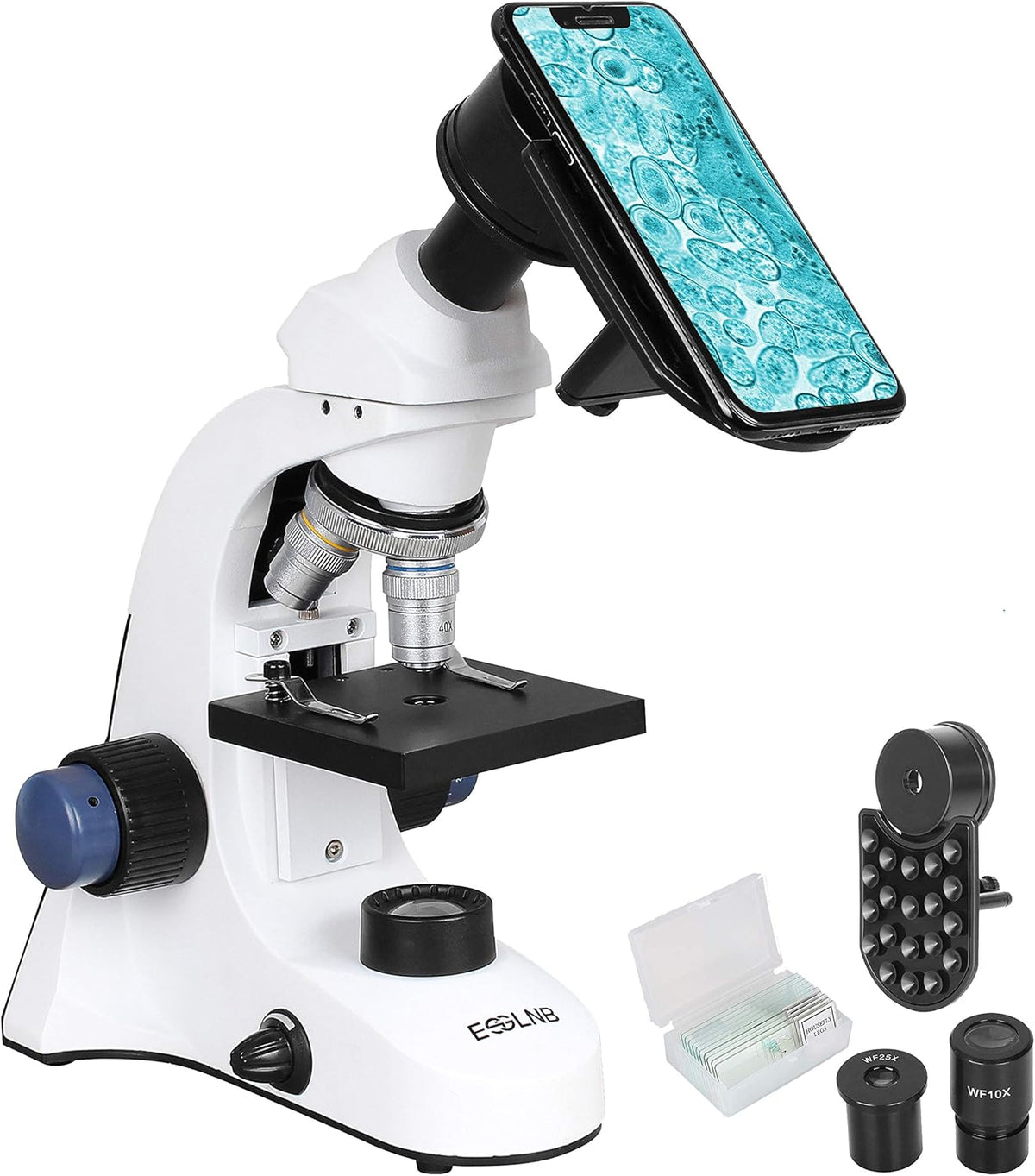 40X-2000X LED Compound Lab Microscope with Phone Adapter Mechanical Stage Abbe Condenser J47287