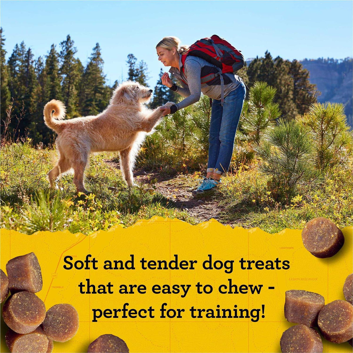 Mini Naturals Dog Treats B6917