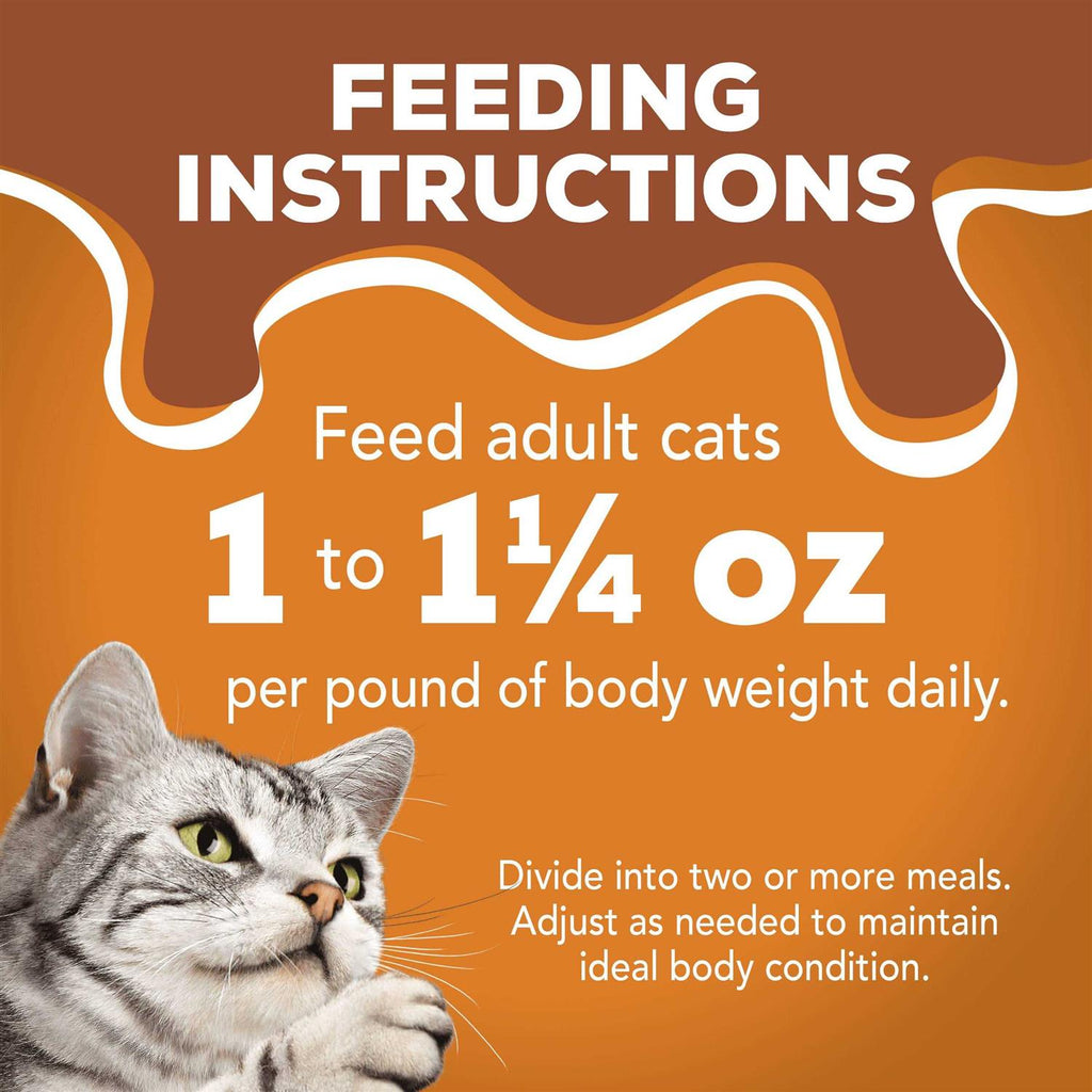 Extra Gravy Chunky Wet Cat Food Variety Pack C61621
