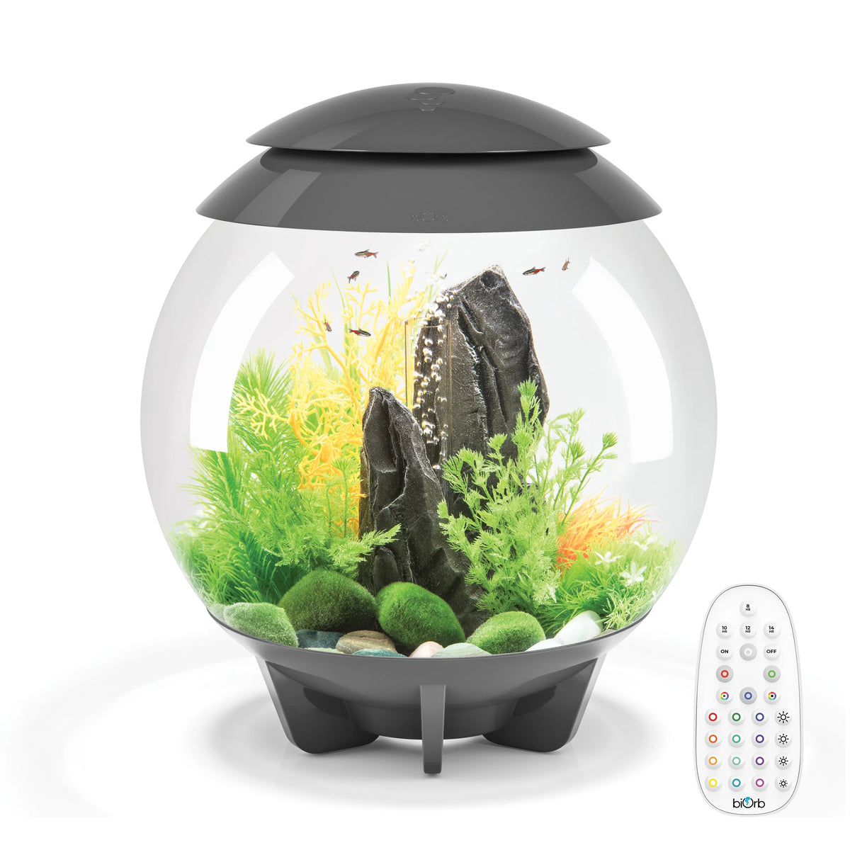 8 gallon Aquarium with MCR Light N99857