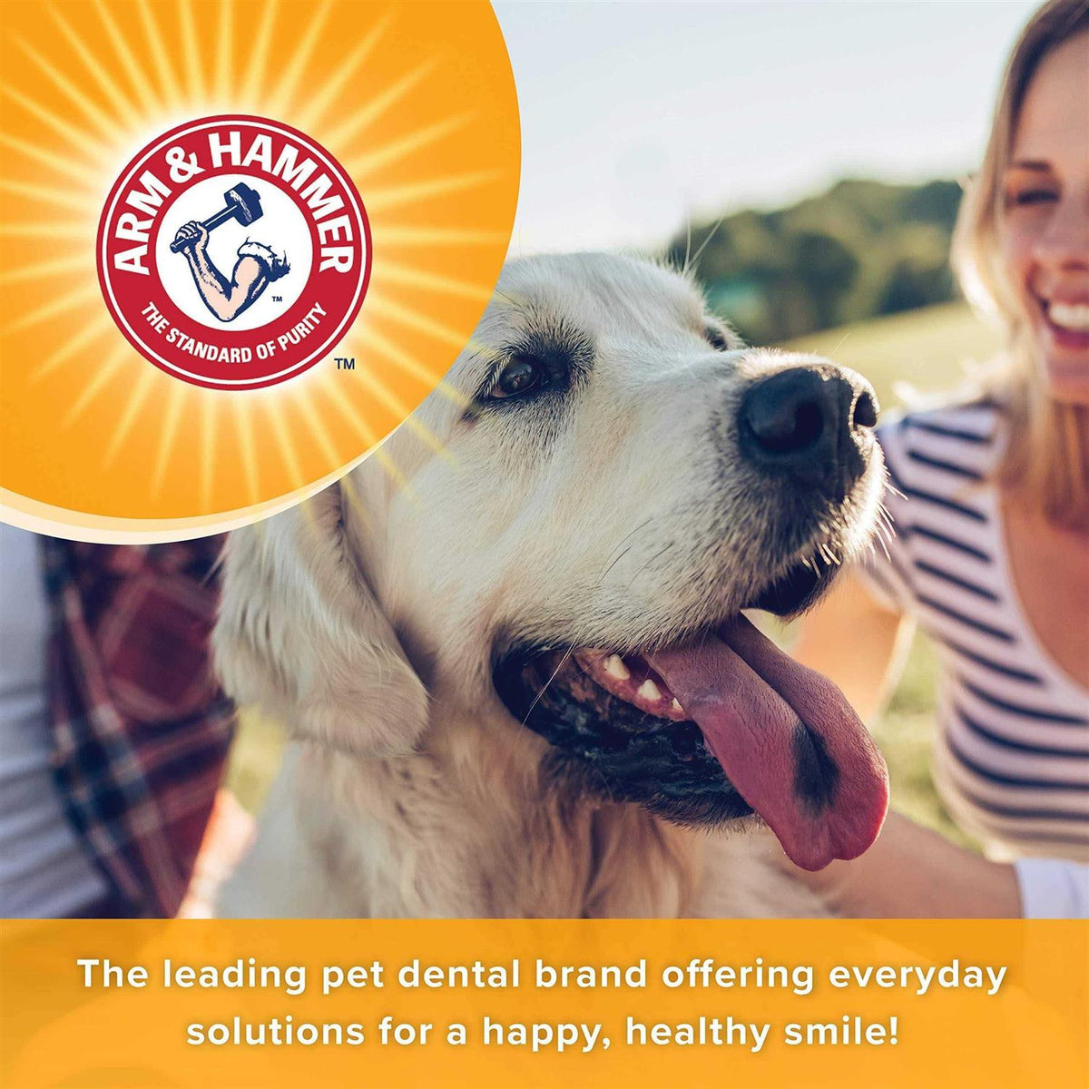 Fresh Breath Dental Spray for Dogs U662942