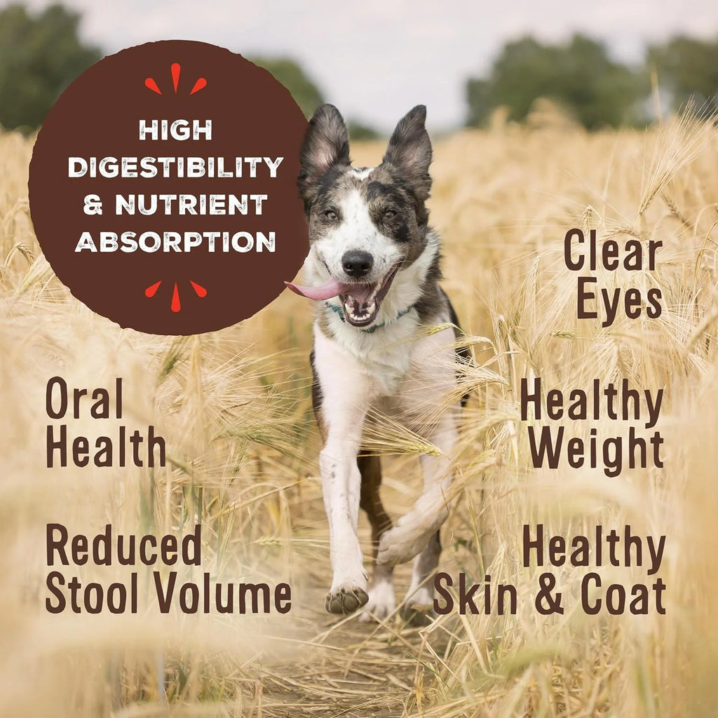 Freeze Dried Grain Free Dog Food Nuggets 5.5 oz W71954