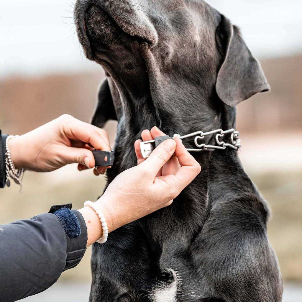 Stainless Steel Quick Release Buckle for Dog Collar G692