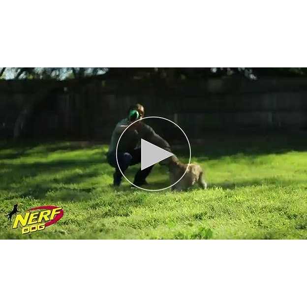 Ridged Football Dog Toy H608370