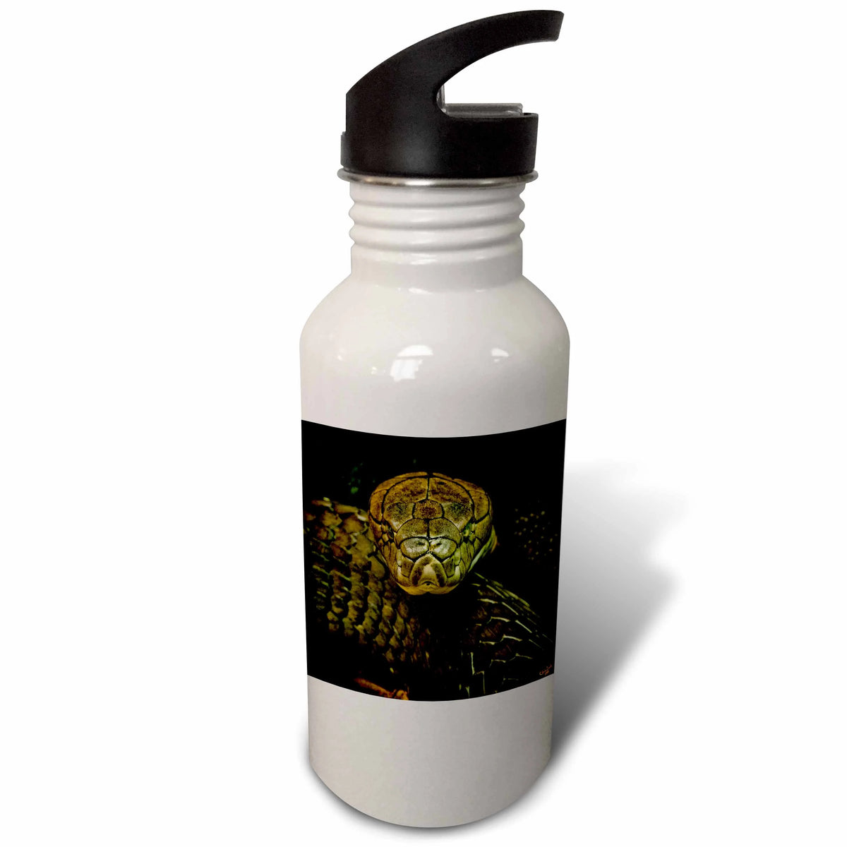 Green Coiled 21 oz Sports Water Bottle T4186