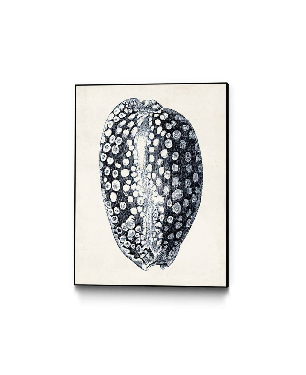 Framed Canvas J465830