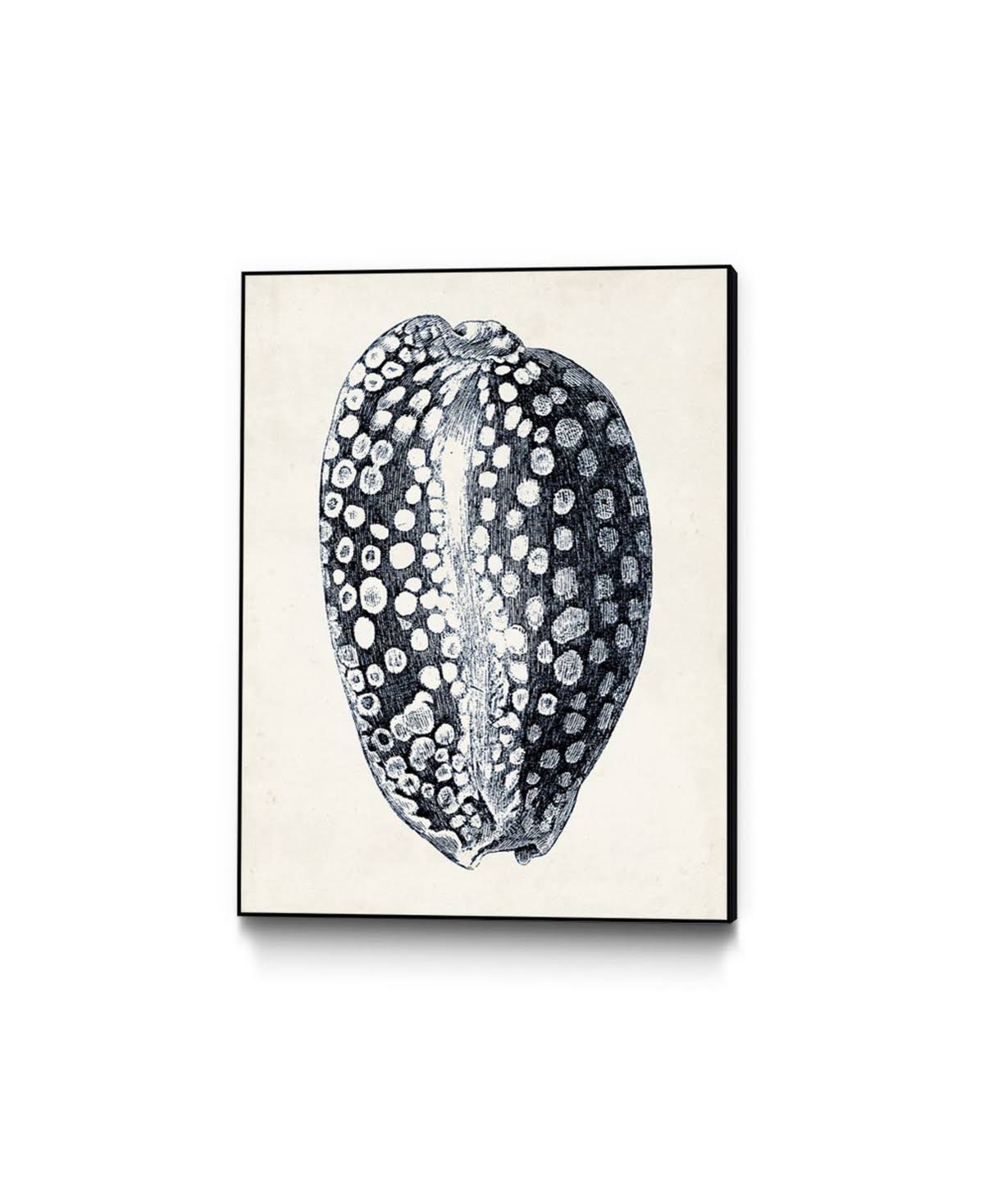 Framed Canvas J465830