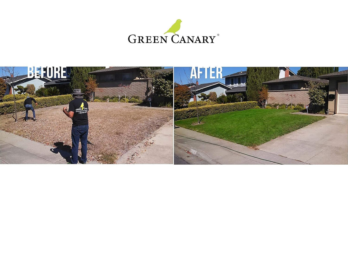 2 Pack Green Grass Paint, 4 Liter Bottles U906