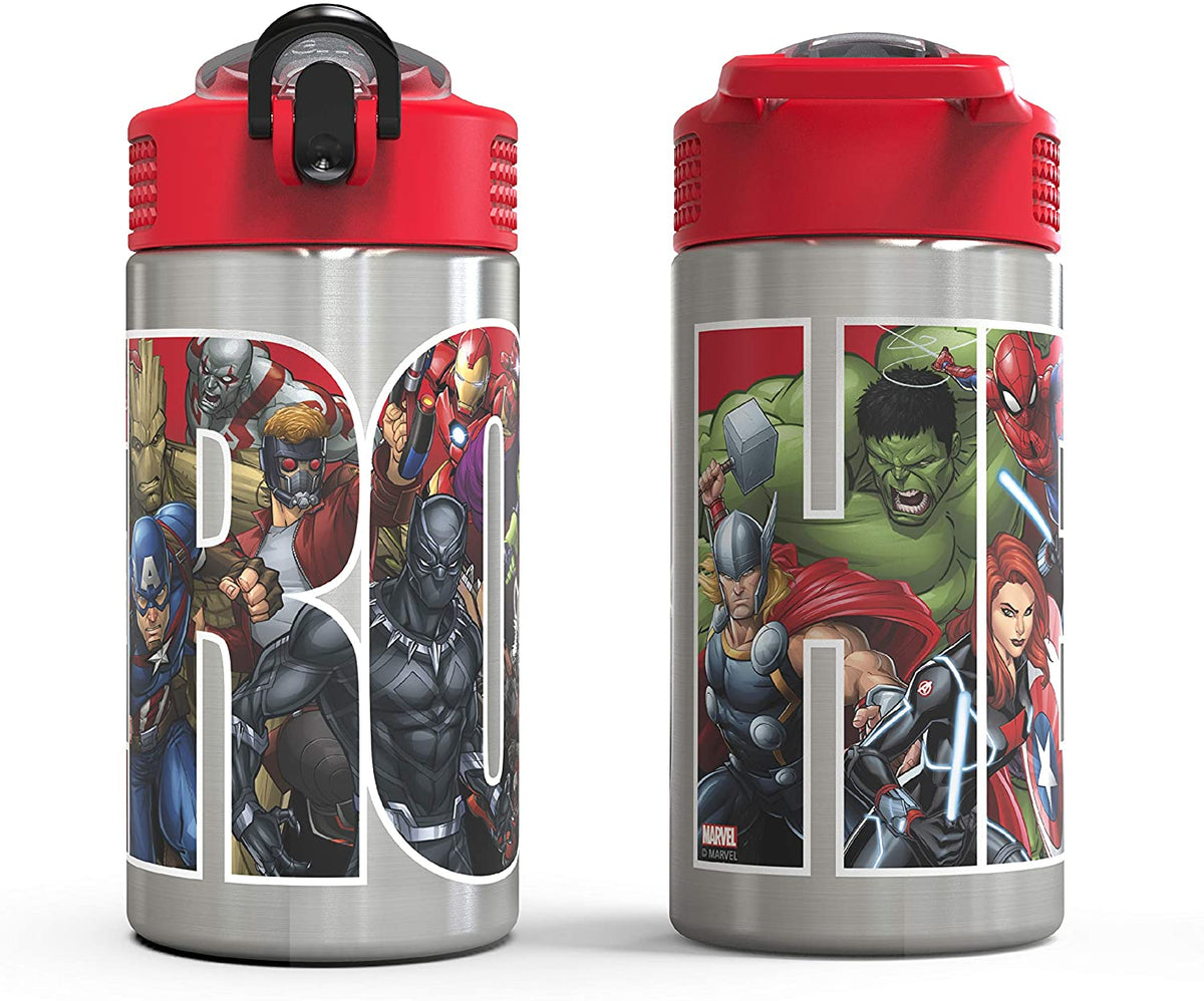 Stainless Steel Water Bottle with Straw Spout, 15.5 oz O436