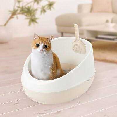 Rimmed Cat Litter Pan W74225