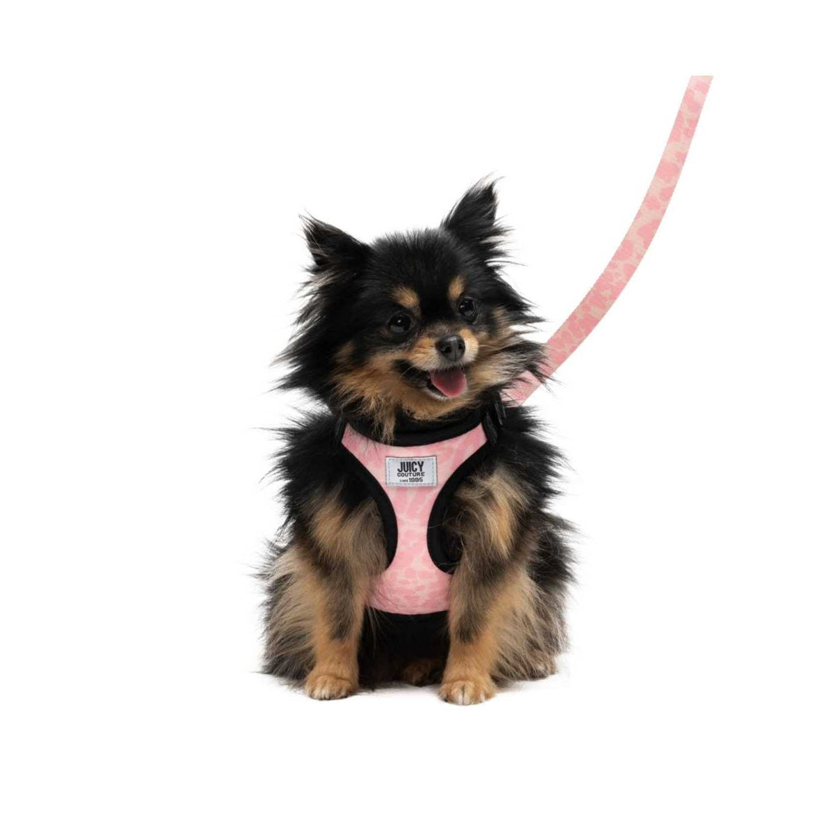 Harness & Leash Set S627730