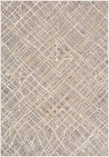 5x7 Medium Gray Area Rug K8932