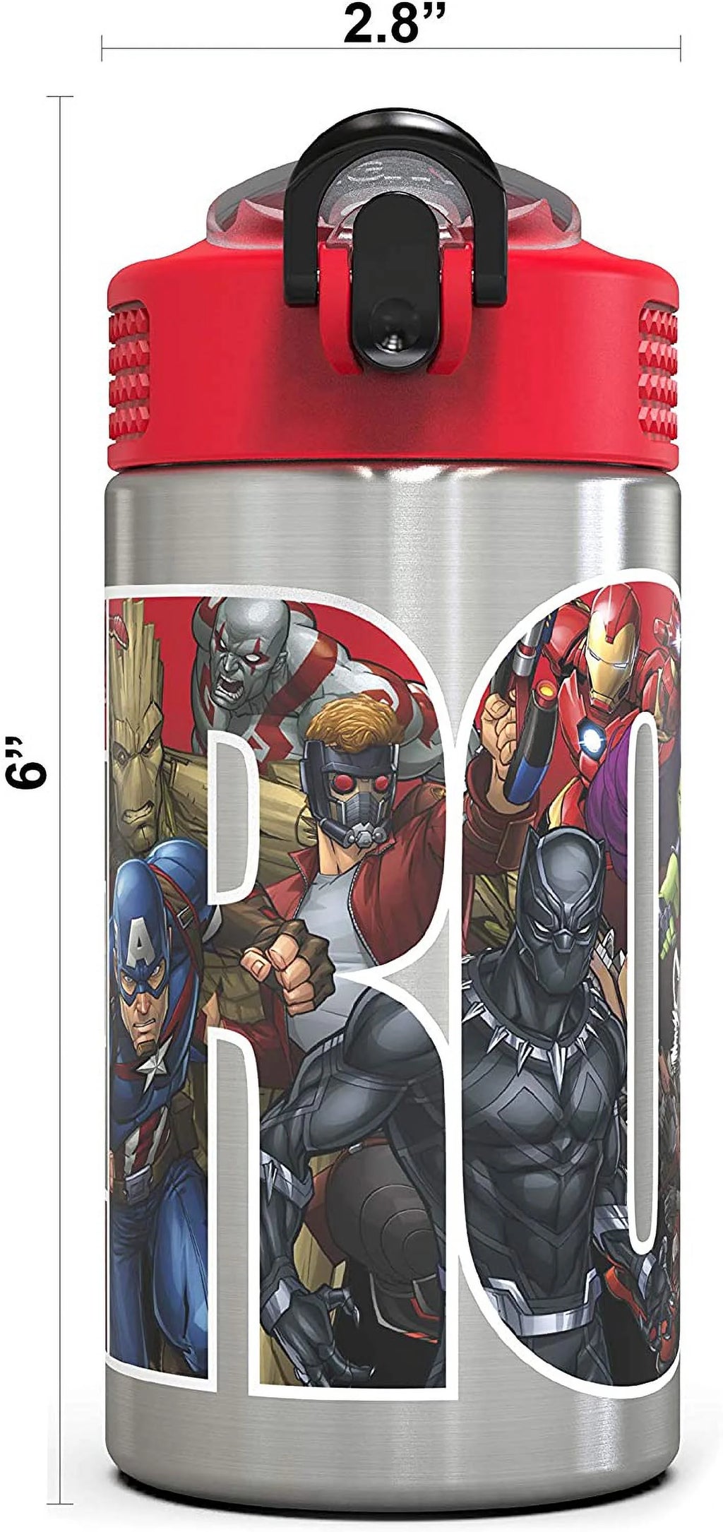Stainless Steel Water Bottle with Straw Spout, 15.5 oz O436