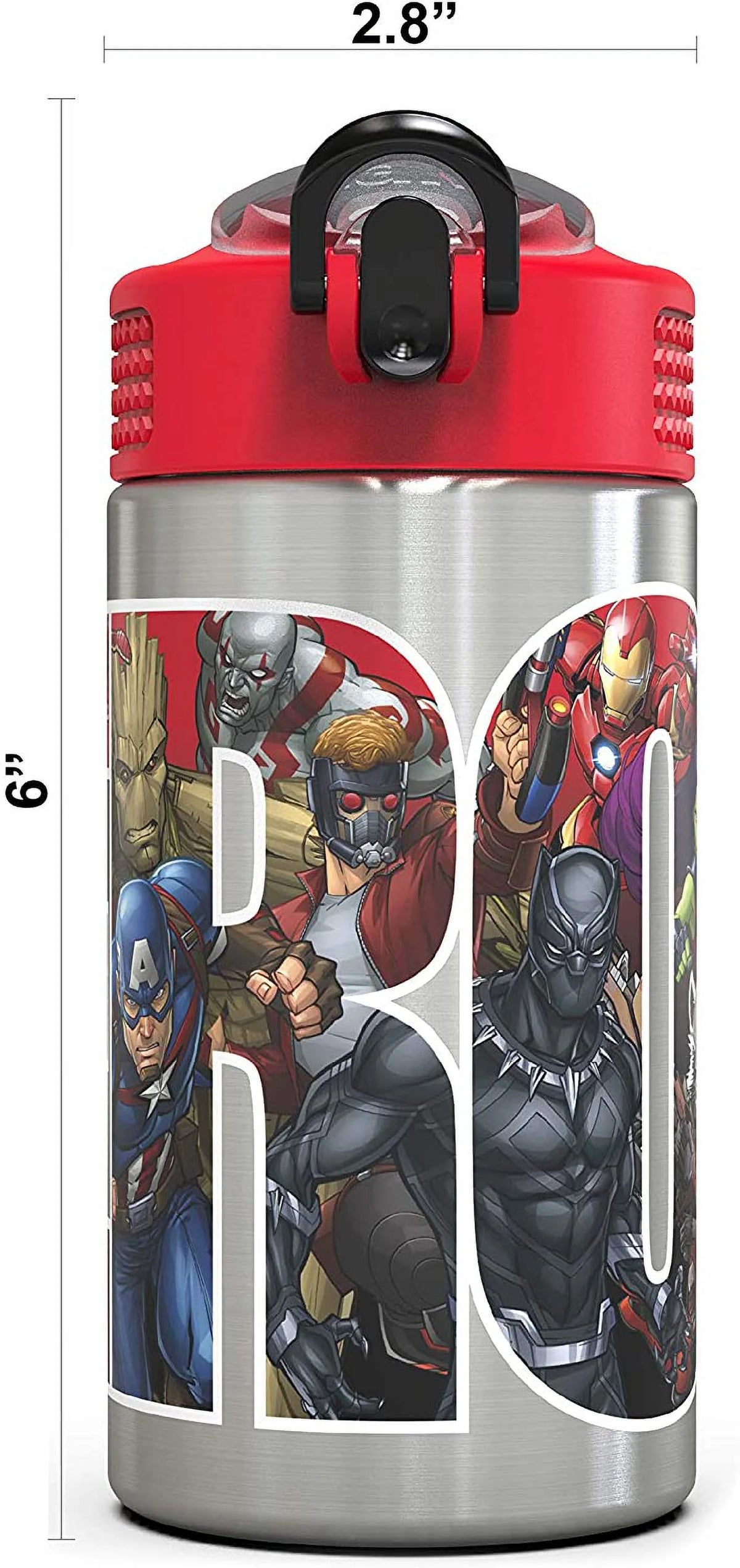 Stainless Steel Water Bottle with Straw Spout, 15.5 oz O436