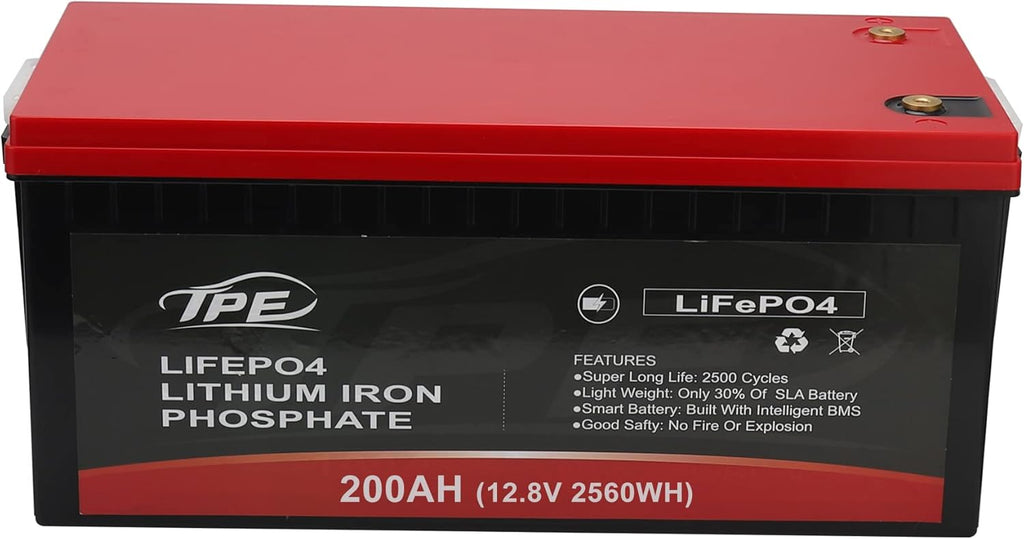 24V 100AH Rechargeable Deep Cycle Lithium Iron Phosphate Battery J377364