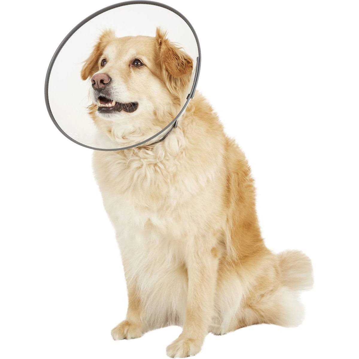 XL E-Collar C72167
