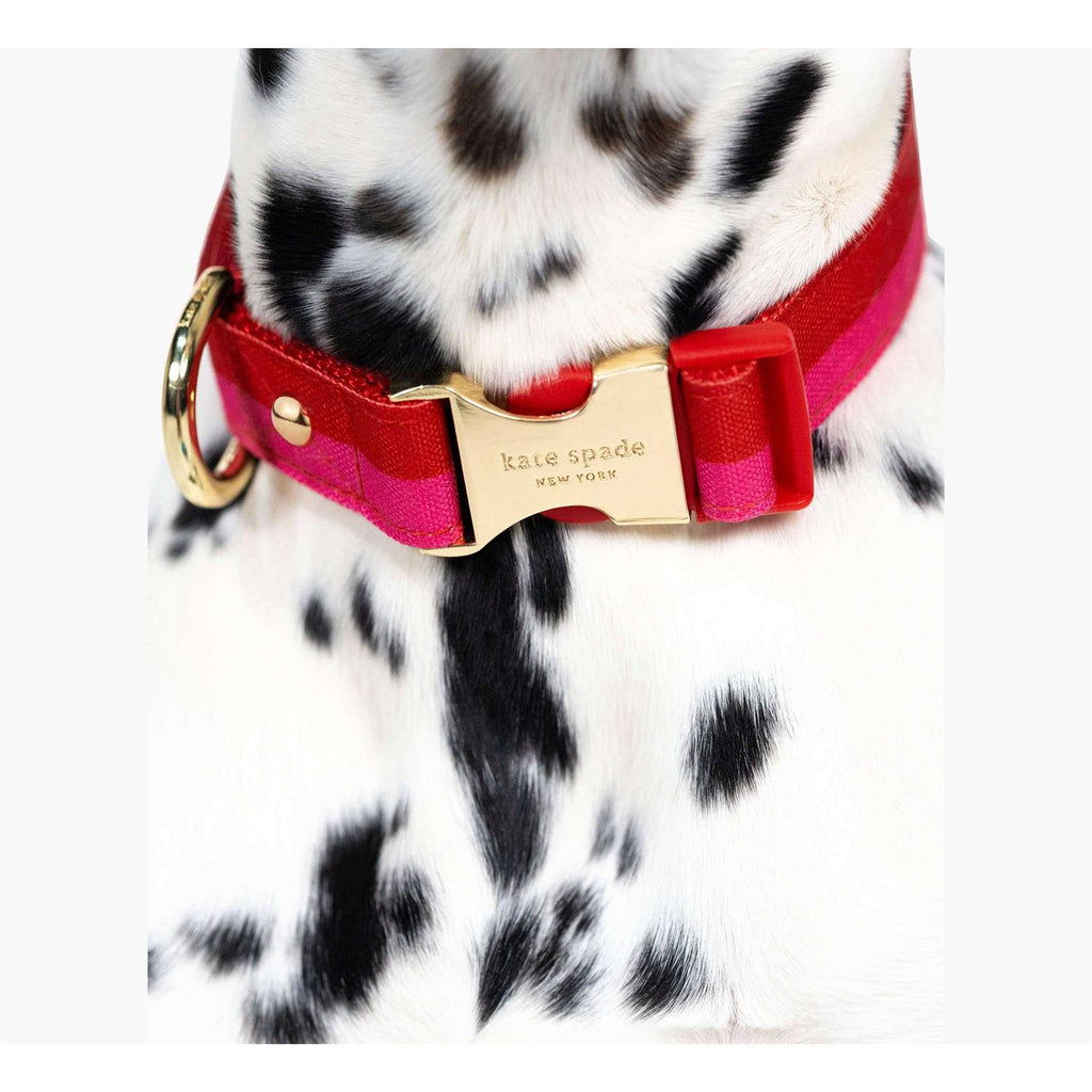 Red Pink Colorblock Dog Collar I865