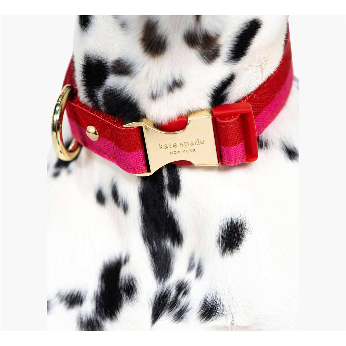 Red Pink Colorblock Dog Collar I865