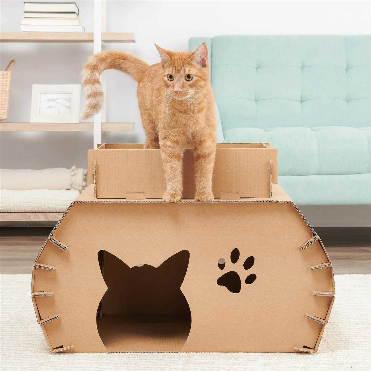 Cat Camper and Scratcher J141