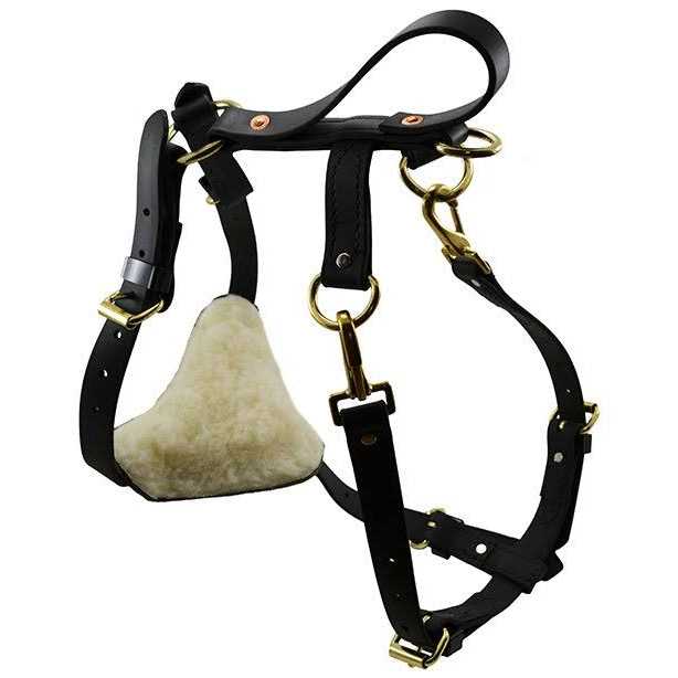 Biothane Multi-Function Harness D99165