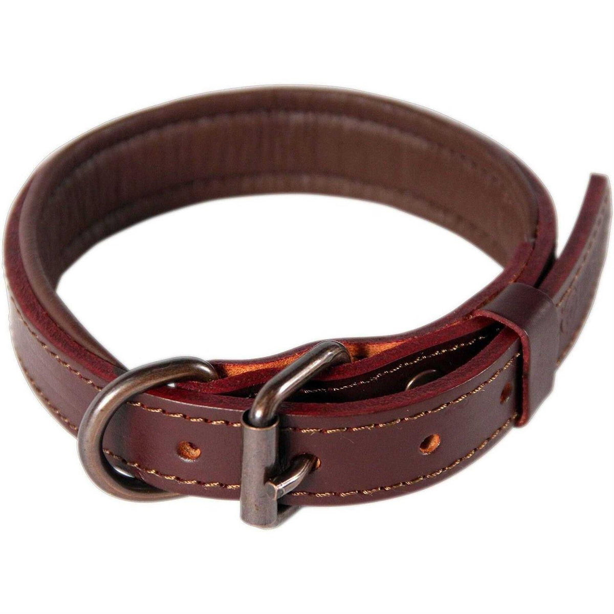 Padded Full Grain Leather Dog Collar A654504