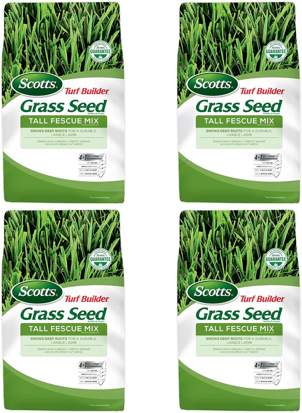 Tall Fescue Grass Seed Mix, 20 lb. Pack of 2 W8410