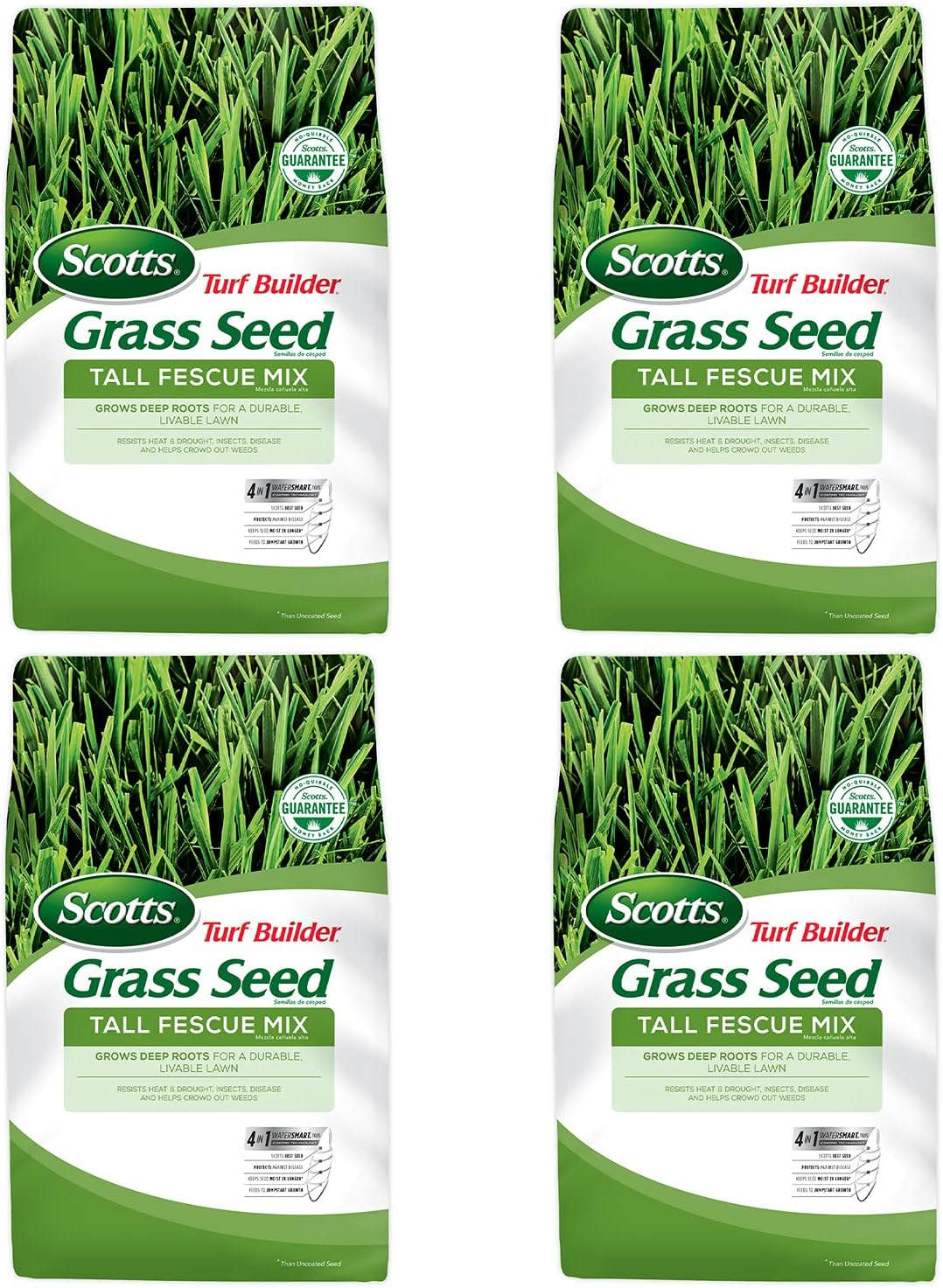 Tall Fescue Grass Seed Mix, 20 lb. Pack of 2 W8410