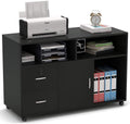 White 2 Drawer Wood File Cabinet with Locks and Wheels W119
