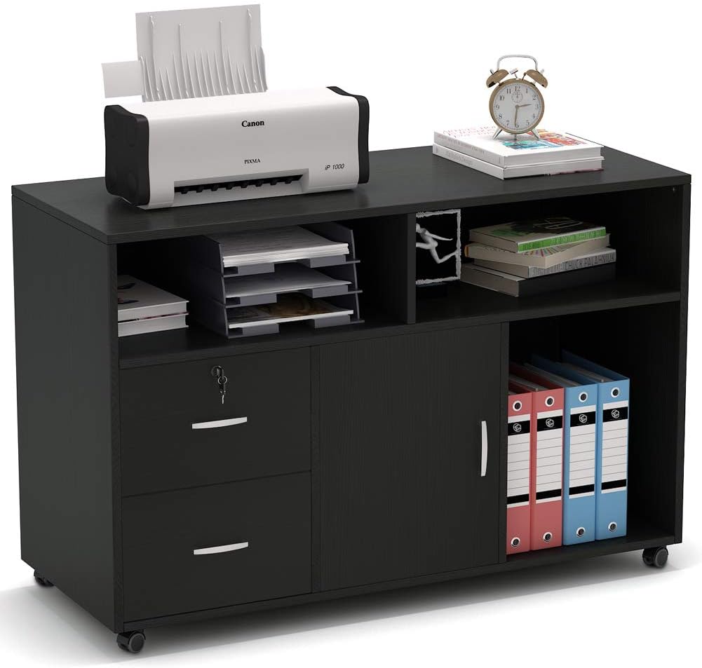 White 2 Drawer Wood File Cabinet with Locks and Wheels W119