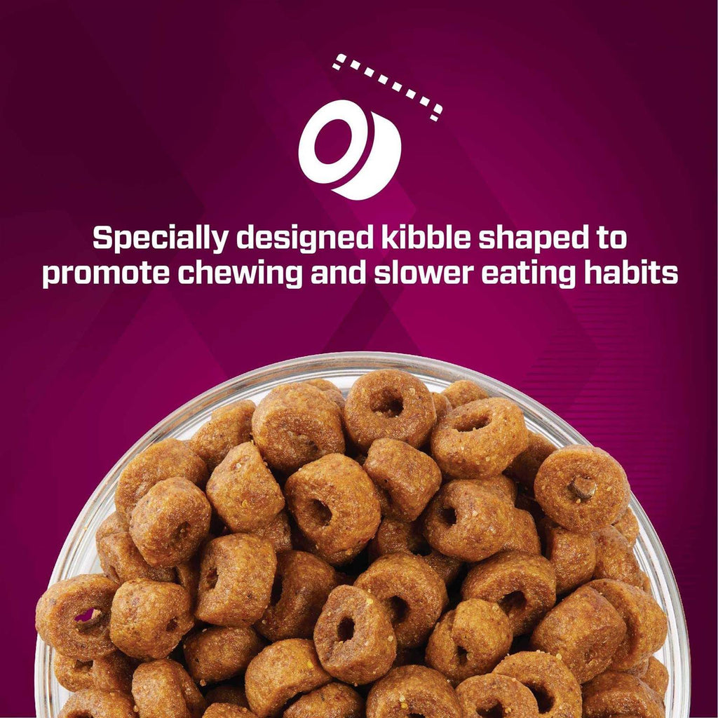 Premium Performance Puppy Dry Dog Food Z11852
