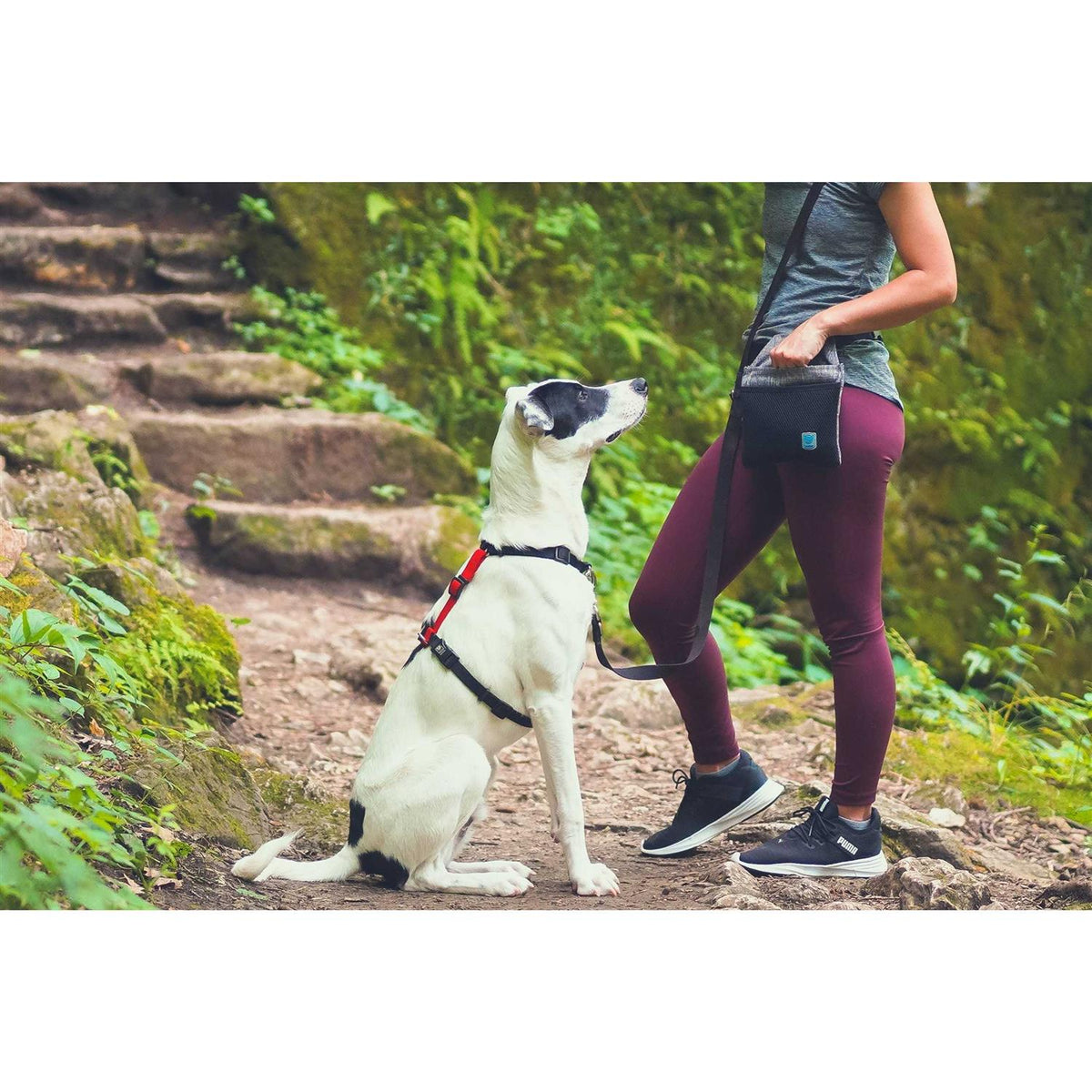 Buckle-Neck No-Pull Dog Harness G2883