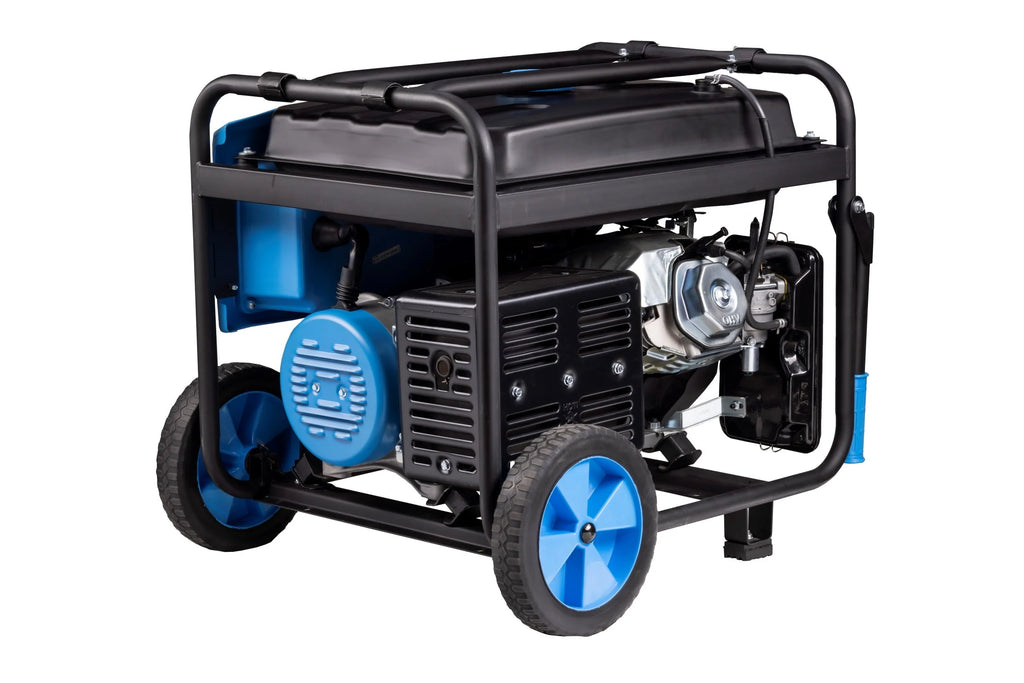7,750-Watt Dual Fuel Portable Generator with Electric Start N263