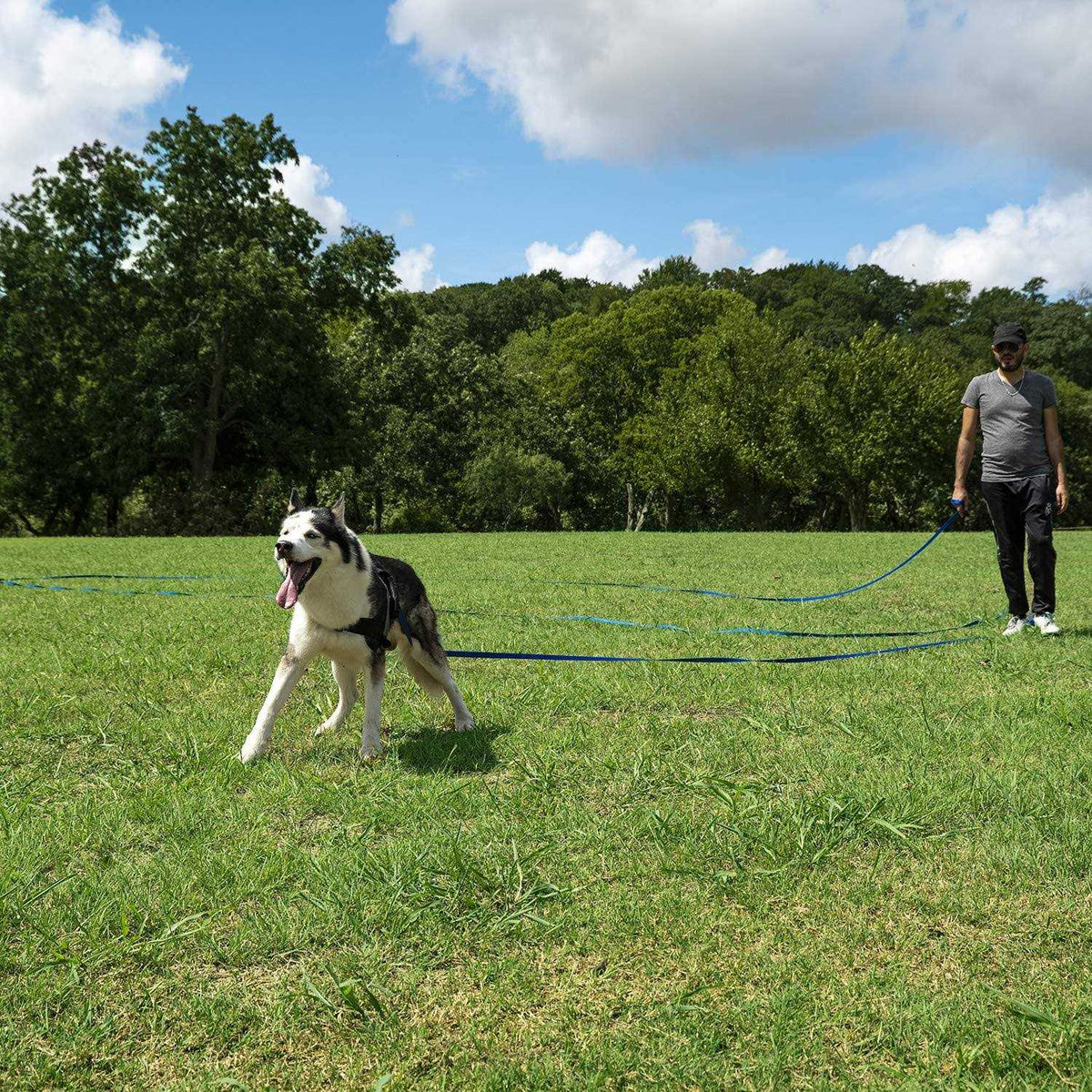 Dog Puppy Training Lead Leash S1300