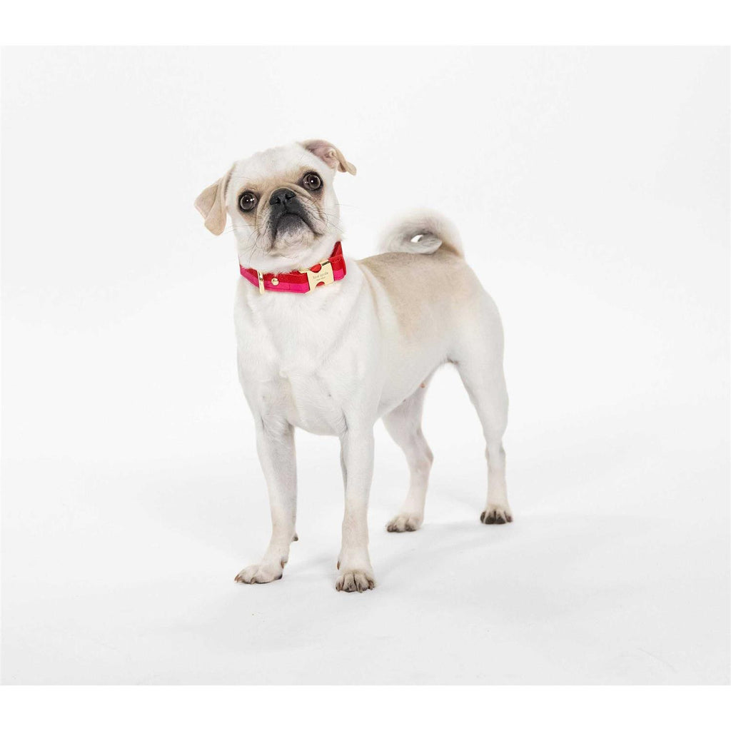 Red Pink Colorblock Dog Collar I865