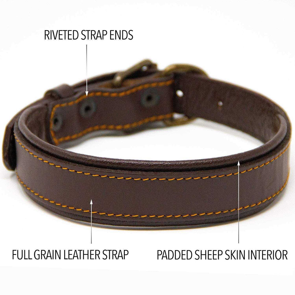 Padded Full Grain Leather Dog Collar A654504