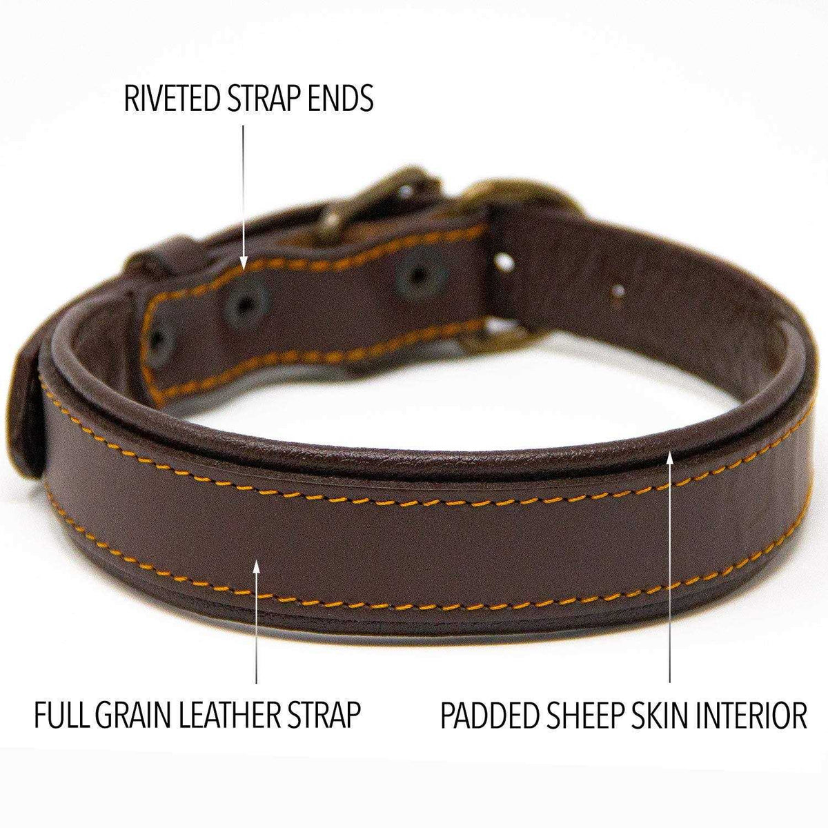 Padded Full Grain Leather Dog Collar A654504