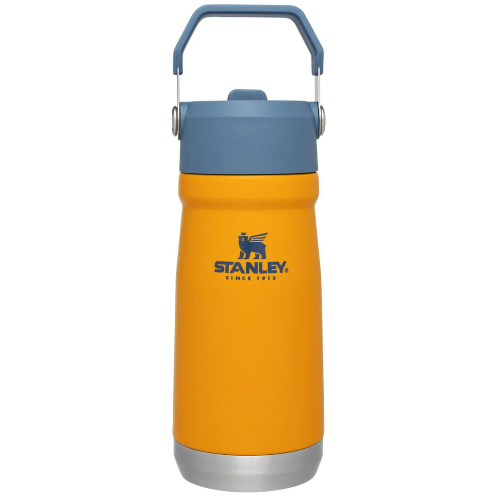 Iceflow Flip Straw Water Bottle W2060