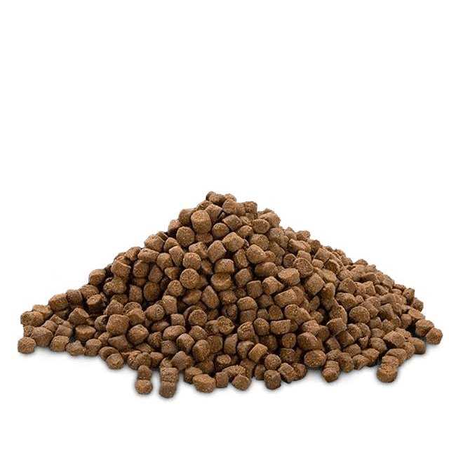 High Protein Growth Puppy Food X529
