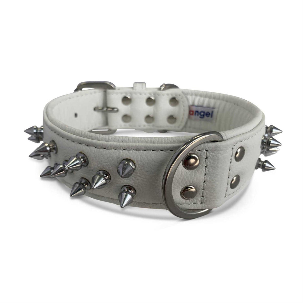 Dog Collar S375283