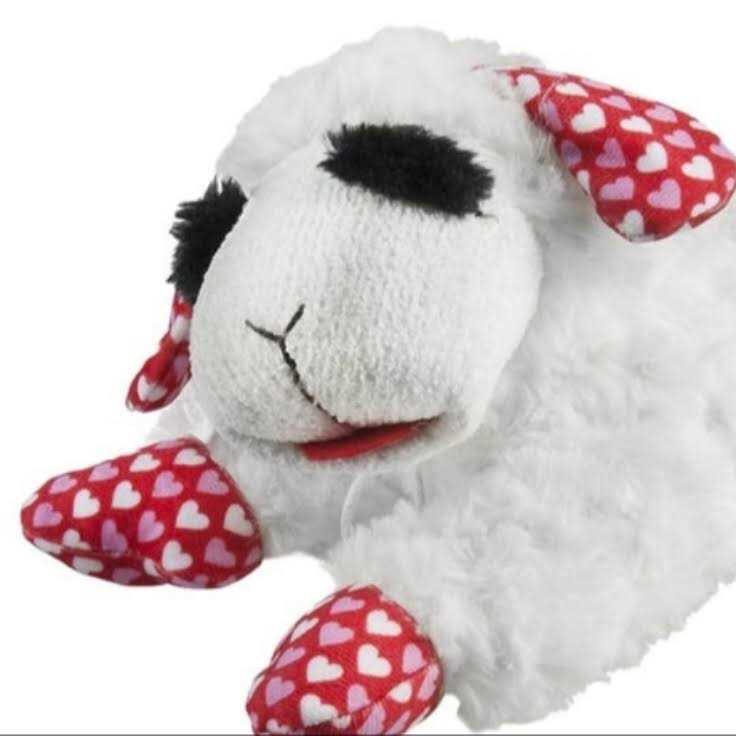 Valentine's Day Dog Toy W5501
