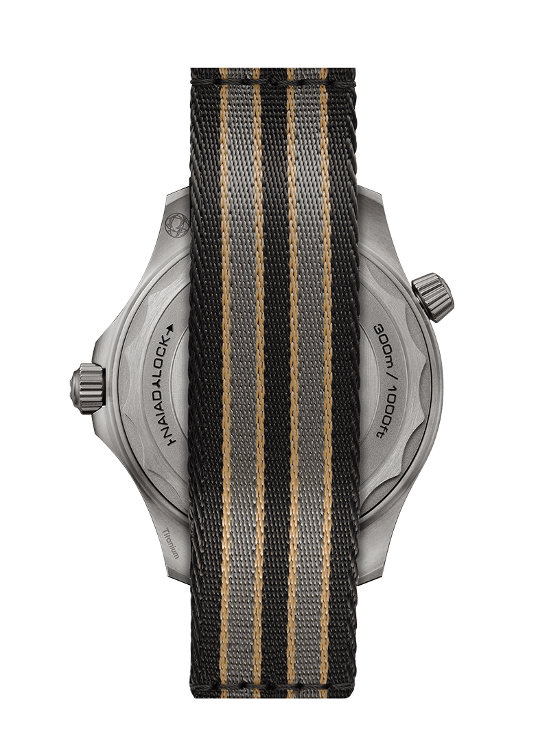 Diver 300m 42mm V667196