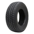 All Season P235/60R14 96T Passenger Tire Q484