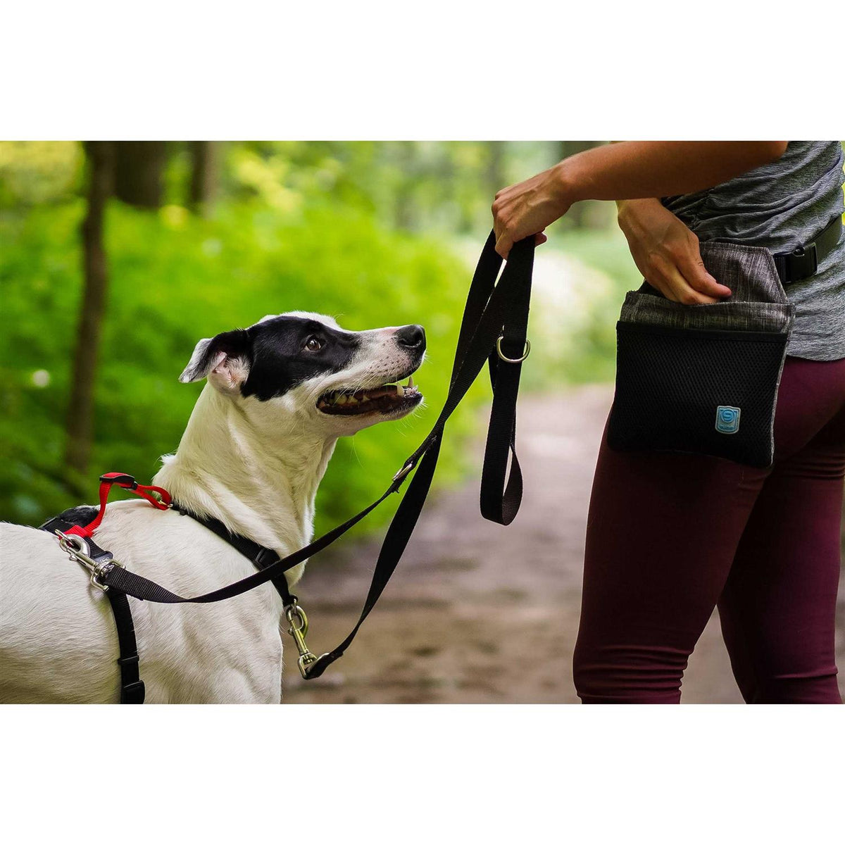 Buckle-Neck No-Pull Dog Harness G2883