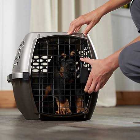 Gray Pet Carrier Q99496