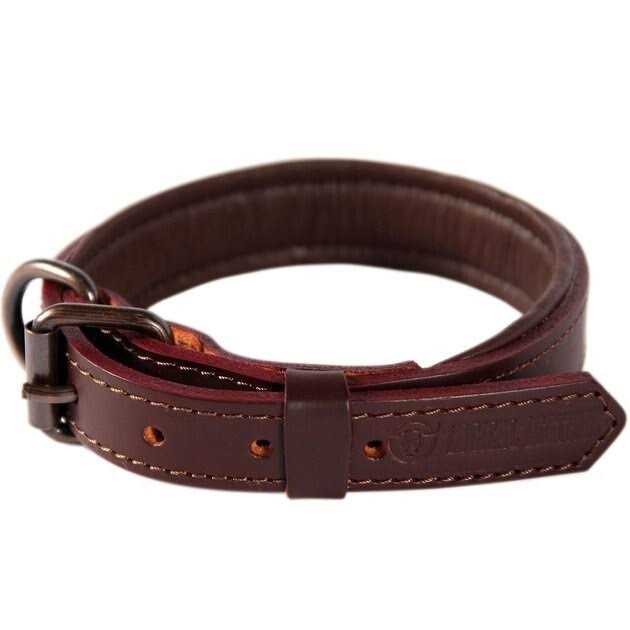Padded Full Grain Leather Dog Collar A654504