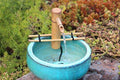 7 inch Natural Bamboo Fountain and Pump Kit A315350