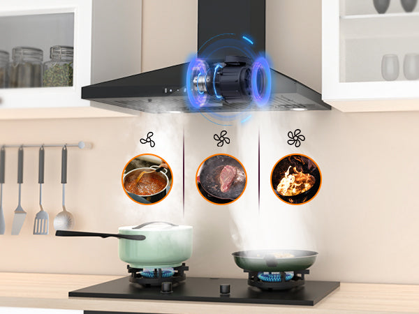 Stainless Steel Wall Mount Range Hood 30 Inch 600 CFM 3 Speed Ducted Ductless Convertible P936