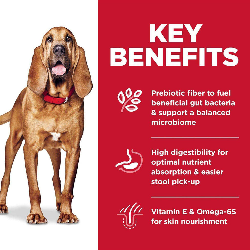 Chicken Recipe Sensitive Stomach Dry Dog Food U337